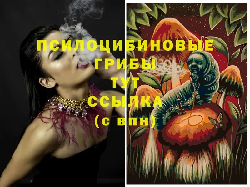 Галлюциногенные грибы MAGIC MUSHROOMS  Карачев 