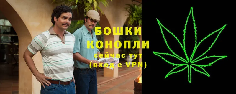 Бошки Шишки SATIVA & INDICA  мега маркетплейс  Карачев 